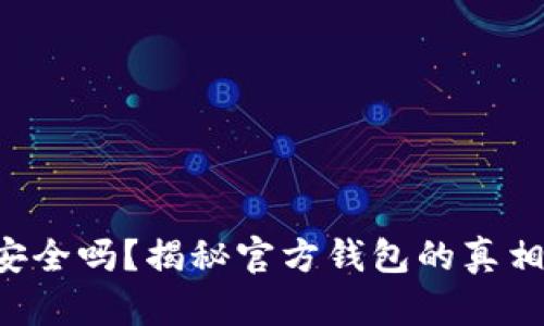 “比特币钱包安全吗？揭秘官方钱包的真相与保护策略！”