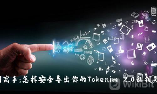 从新手到高手：怎样安全导出你的Tokenim 2.0私钥与助记词？