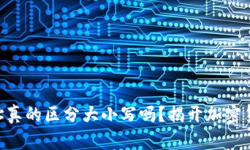  USDT钱包地址真的区分大小写吗？揭开加密货币背后的秘密