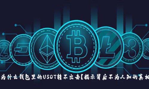 为什么钱包里的USDT转不出去？揭示背后不为人知的真相