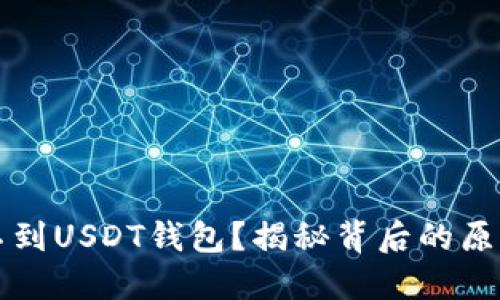 为什么你找不到USDT钱包？揭秘背后的原因与解决方案