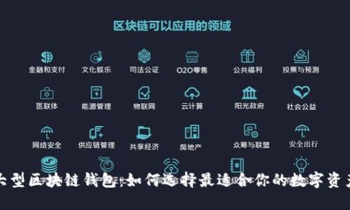 揭秘大型区块链钱包：如何选择最适合你的数字资产银行