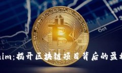 Tokenim：揭开区块链项目背