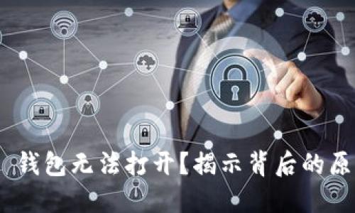 Tokenim 2.0 钱包无法打开？揭示背后的原因与解决方案