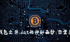 揭开比特币钱包文件.dat的