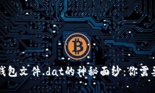 揭开比特币钱包文件.dat的神秘面纱：你需要了解的一切
