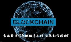 当比特币钱包地址遗忘时