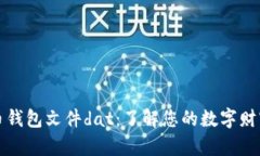 比特币钱包文件dat：了解