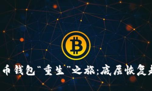 你的比特币钱包“重生”之旅：底层恢复超全攻略！