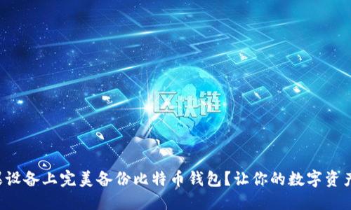 如何在苹果设备上完美备份比特币钱包？让你的数字资产安全无忧！