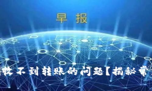 如何解决Tokenim收不到转账的问题？揭秘常见原因与解决方案