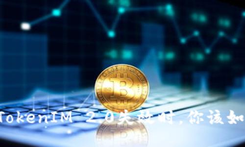 当三星TokenIM 2.0失效时，你该如何应对？