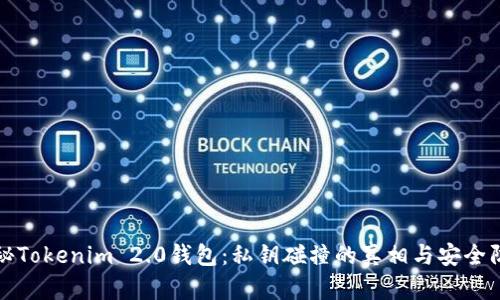 揭秘Tokenim 2.0钱包：私钥碰撞的真相与安全防护