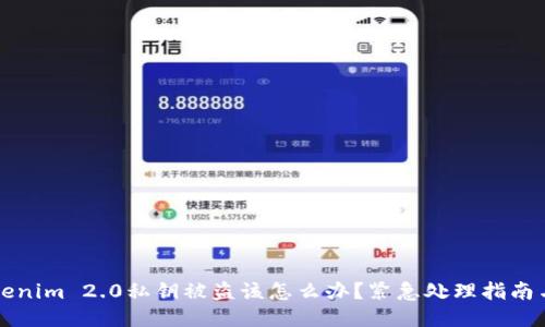 当你的Tokenim 2.0私钥被盗该怎么办？紧急处理指南与保护措施