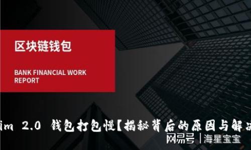 Tokenim 2.0 钱包打包慢？揭秘背后的原因与解决方案！