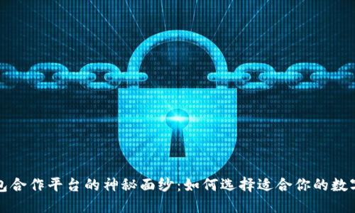 揭开区块链钱包合作平台的神秘面纱：如何选择适合你的数字资产管理工具