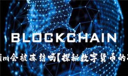 Tokenim会被冻结吗？探秘数字货币的冰与火