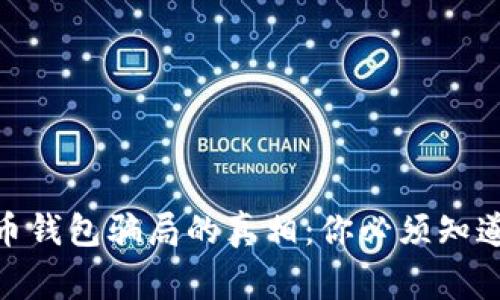 : 揭开比特币钱包骗局的真相：你必须知道的警示案例