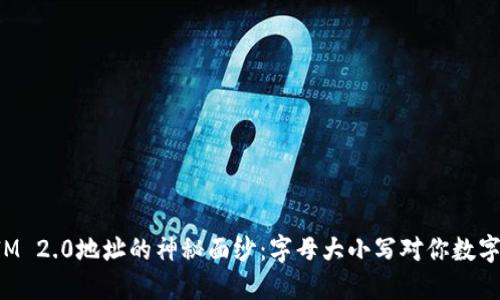 揭开TokenIM 2.0地址的神秘面纱：字母大小写对你数字资产的影响