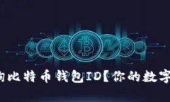 : 如何轻松查询比特币钱包