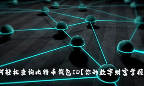 : 如何轻松查询比特币钱包ID？你的数字财富掌握在握！