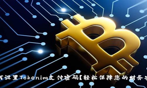 如何设置Tokenim支付密码？轻松保障您的财务安全