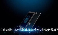 当Tokenim 2.0钱包无法打开时