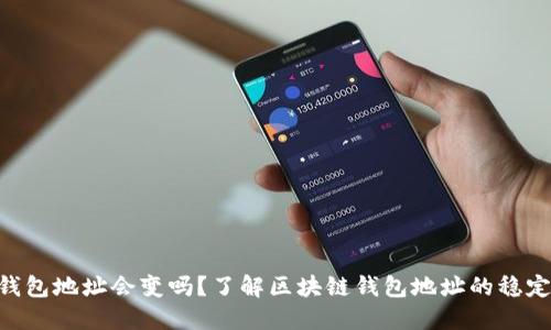 Tokenim的钱包地址会变吗？了解区块链钱包地址的稳定性与安全性