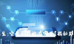 比特币的诞生：它最初存