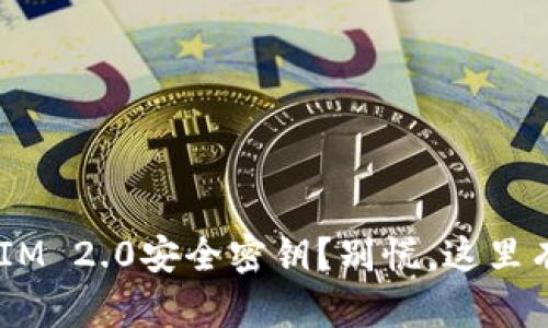 丢失TokenIM 2.0安全密钥？别慌，这里有解决方案！