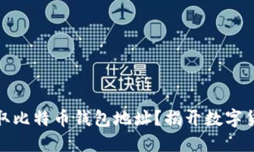 : 如何轻松获取比特币钱包地址？揭开数字货币背后的秘密