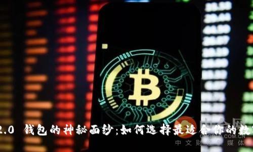 揭开Tokenim 2.0 钱包的神秘面纱：如何选择最适合你的数字资产管理方案