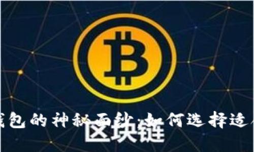 揭开以太坊与区块链钱包的神秘面纱：如何选择适合你的数字资产护航者