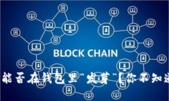 : 比特币到底能否在钱包里