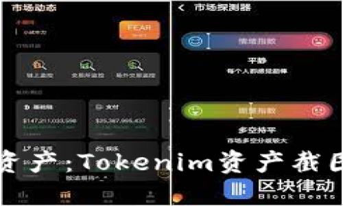 轻松抓取你的数字资产：Tokenim资产截图软件让你一目了然