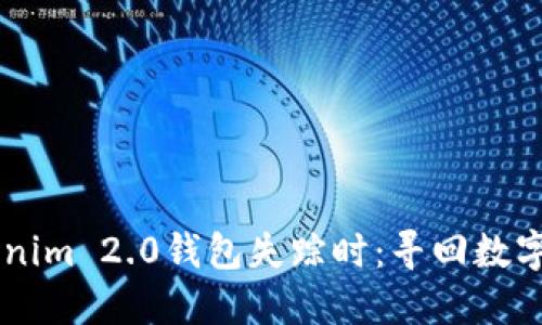 当你的Tokenim 2.0钱包失踪时：寻回数字资产的秘笈