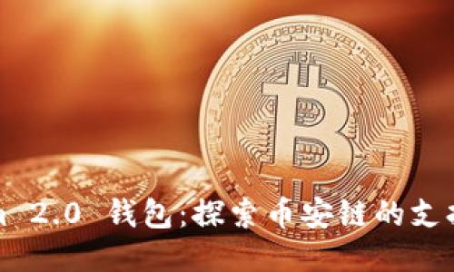 Tokenim 2.0 钱包：探索币安链的支持与潜力