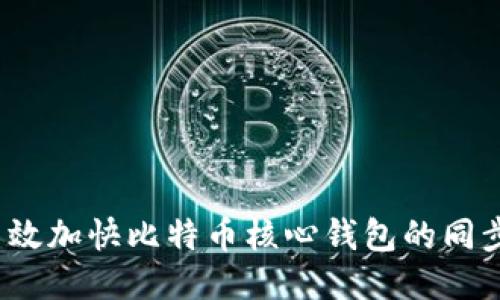 如何高效加快比特币核心钱包的同步速度？