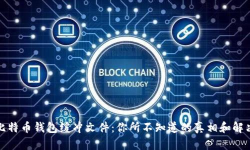 探秘比特币钱包缓冲文件：你所不知道的真相和解决方法