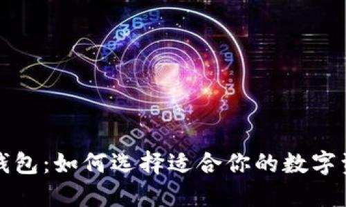 解密比特币钱包：如何选择适合你的数字资产保护工具