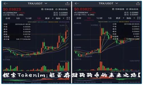 探索Tokenim：能否存储狗狗币的未来之路？