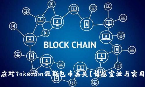 如何应对Tokenim假钱包币丢失？情感宣泄与实用建议