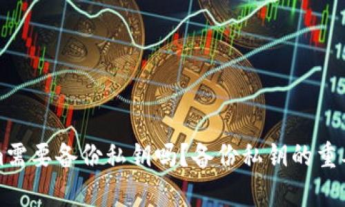 Tokenim需要备份私钥吗？备份私钥的重要性解析