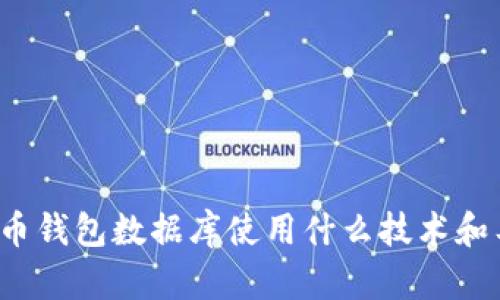 比特币钱包数据库使用什么技术和工具？
