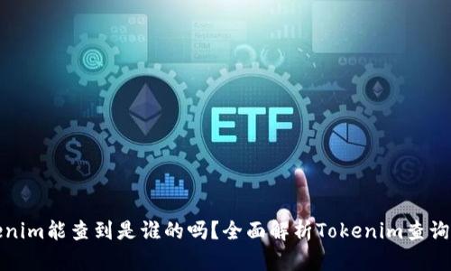 Tokenim能查到是谁的吗？全面解析Tokenim查询功能