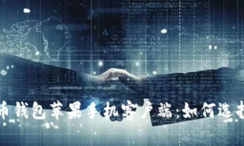 : 比特币钱包苹果手机客户端：如何选择与使用