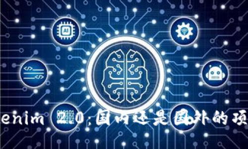 Tokenim 2.0：国内还是国外的项目？