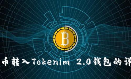 如何将币转入Tokenim 2.0钱包的详细指南