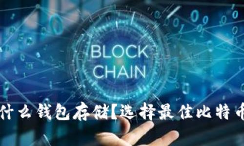 比特币用什么钱包存储？选择最佳比特币钱包指南