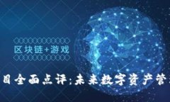 Tokenim项目全面点评：未来